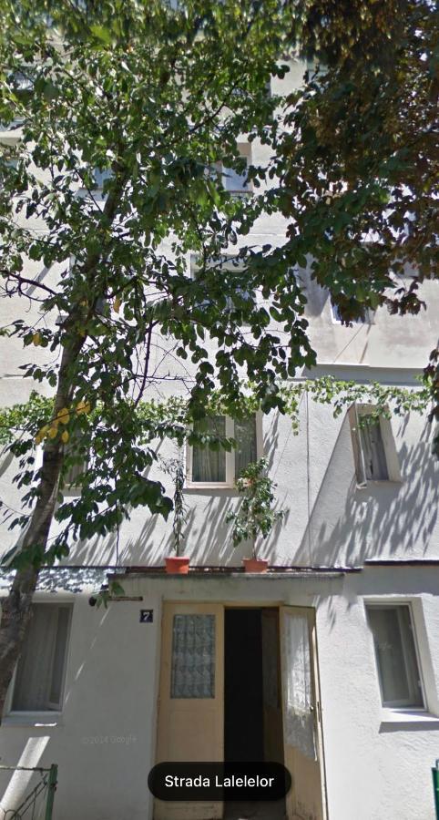 Cozy Apartments Bacău Buitenkant foto